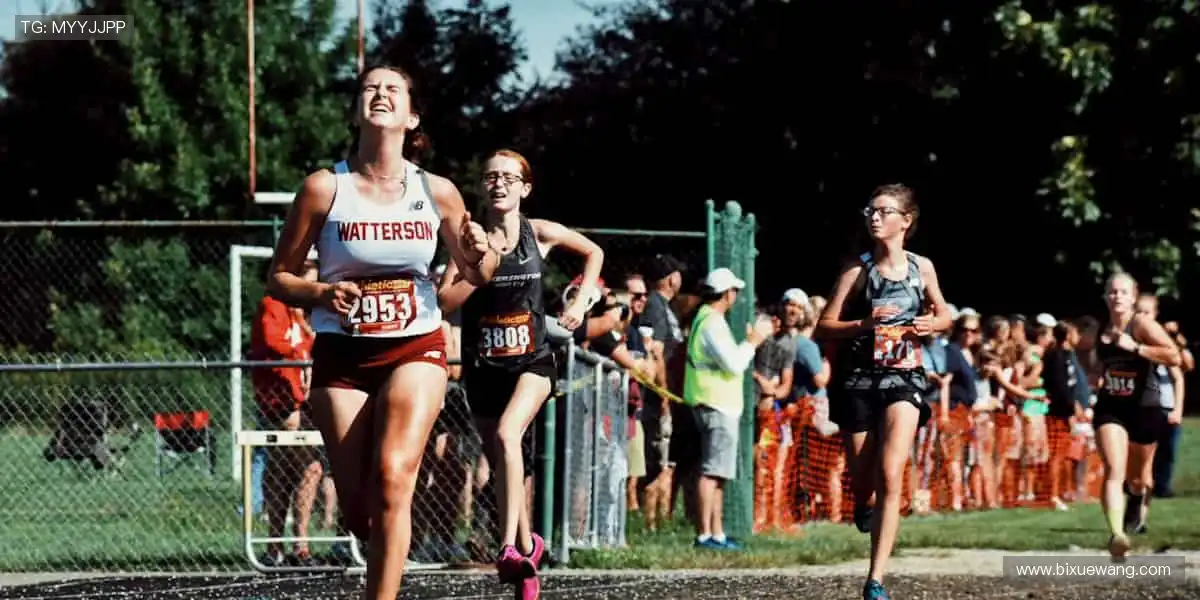 专业周边,品质之选!🎾